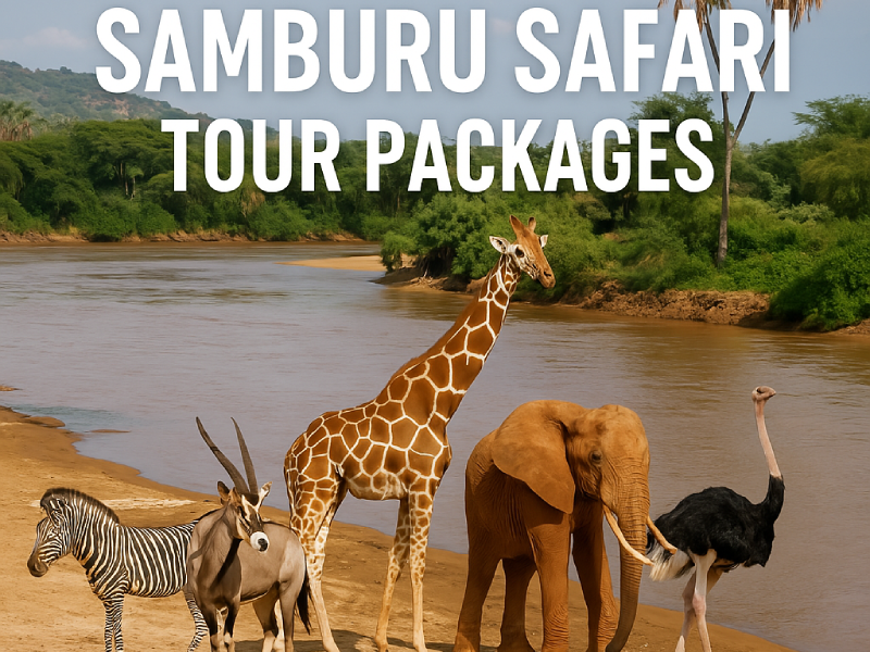 Best Samburu Safari Tour Packages with Bamm Safaris Adventures
