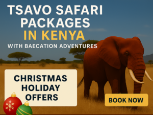 Christmas Tsavo Safari Packages