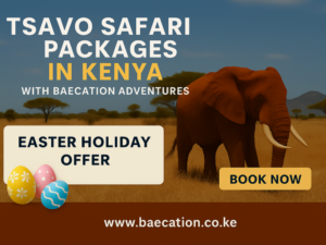 Good Friday Easter Tsavo Safari Packages