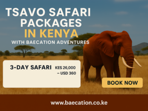 The Best Tsavo Safari Packages in Kenya with Bamm Safaris Adventures