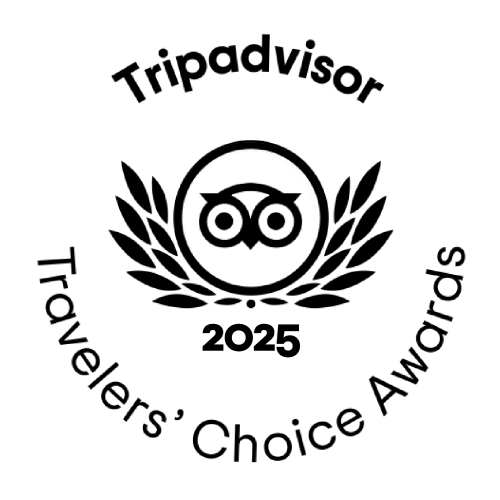 Reviews - Bamm Tours Travelers Choice Award