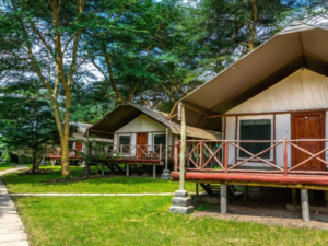 Cheap Couple Hotel in Naivasha Crescent Camp Naivasha