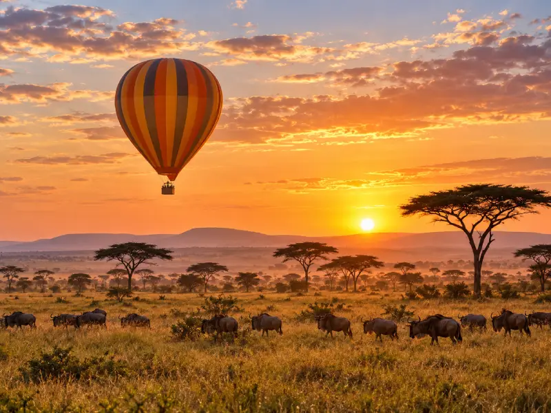 15 Best Adventure Activities in Kenya: The Ultimate 2026 Bucket List - Bamm Safaris